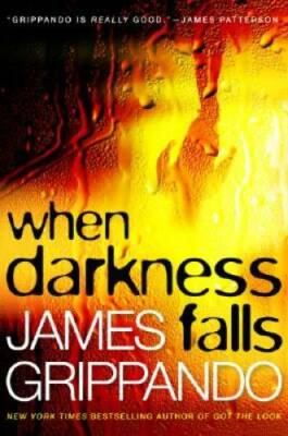 When Darkness Falls - Hardcover By Grippando, James - GOOD