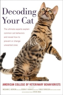 Decoding Your Cat: The Ultimate Experts Explain Common Cat Behaviors and