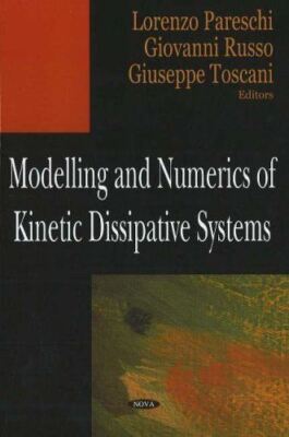 Modelling and Numerics of Kinetic Dissipative Systems (2005)