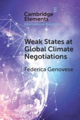 Weak States at Global Climate Negotiations (Elements in International Relations)