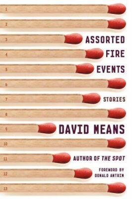 Assorted Fire Events by David Means: New