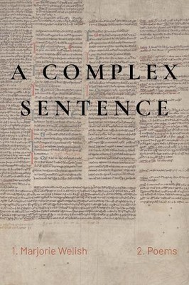 Marjorie Welish A Complex Sentence (Paperback)