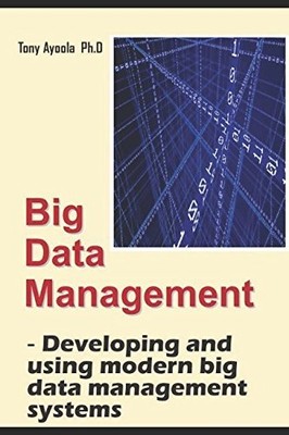 BIG DATA MANAGEMENT - DEVELOPING AND USING MODERN BIG DATA By Tony Ayoola *NEW*