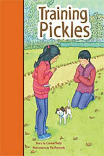 Rigby PM Stars Bridge Books : Individual Student Edition Orange ...