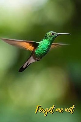 Forget Me Not: Hummingbird.Internet Password Logbook with alphabetical tabs.P...