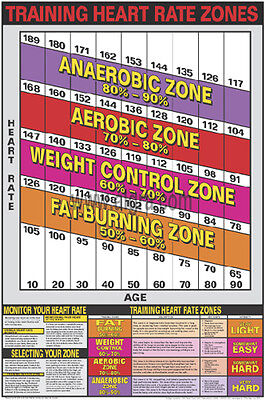 Cardio Workout Heart Rate Chart