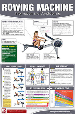 Gym Wall Chart