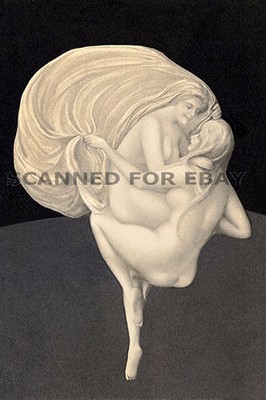 Optical Illusion metamorphic art landscape nature image picture print photo 28X0