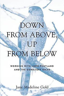 DOWN FROM ABOVE, UP FROM BELOW: WORKING WITH LORD PENTLAND By Jane Madeline Gold