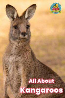 All about Kangaroos [Read Together] - EDventure Learning - Good - paperback