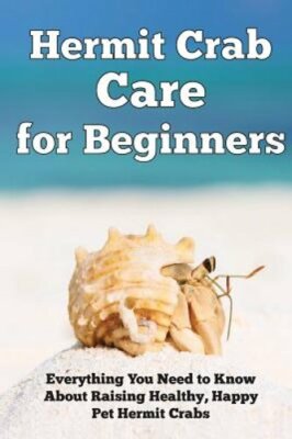 Hermit Crab Care for Beginners: Everything You Need to Know about Raising: New