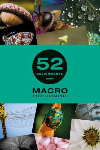 52 Assignments: Macro Photography by  in New
