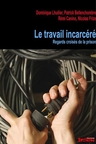 Travail Incarcere (Le) Vues De Prison: Regards Croises De La Prison (0), Domini.