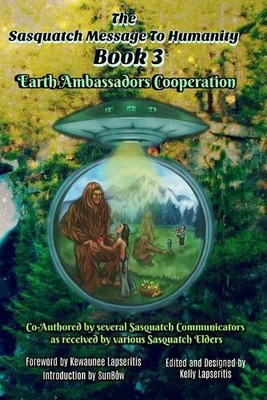 Erin Renee Raven Brook Nobelius George The Sasquatch Message to Hum (Paperback)