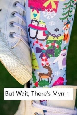 Dreamers & Schemers Limited Holiday Edition Boot Socks