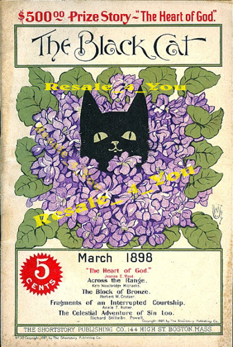5x7 March 1898 LILACS The Black Cat Magazine cover Vintage animal Art print