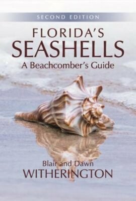 Florida's Seashells: A Beachcomber's Guide by Blair Witherington: New