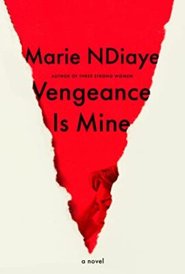 Vengeance Is Mine: A novel by 