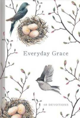 Everyday Grace - Hardcover By Ellie Claire - VERY GOOD