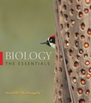 Biology The Essentials -  Marielle Hoefnagels