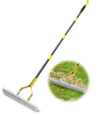 Thatch Rake, 15-Inch Wide Lawn Thatching Rake for Cleaning Dead Grass, Black