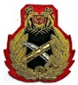 badge Singapore Gen.jpg