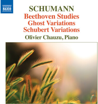 Schumann,Robert / Ch - Beethoven Studies Ghost Variations & Schubert Variations