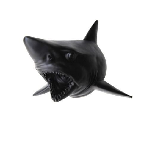 Surge Shark 157 | eBay 