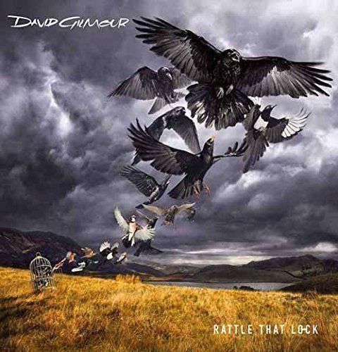 Rock David Gilmour Music CDs
