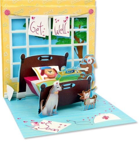 Animals Get Well Greeting Cards