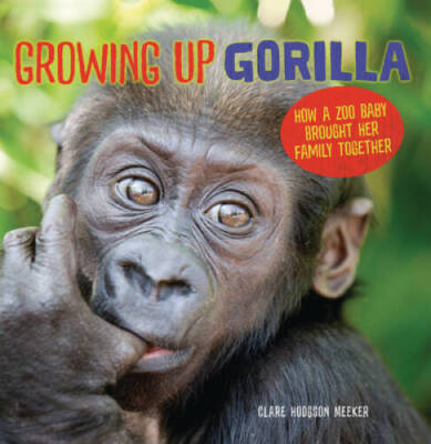 Growing Up Gorilla: How a Zoo Baby Brought Her Family Together - GOOD