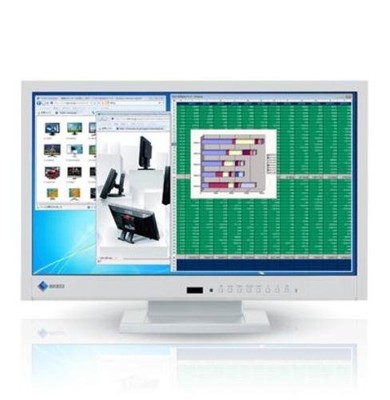 Eizo FlexScan LCD Monitor (X/DVI   D24 Pin X1/D-Sub15 Pin X1/hdmix1  NEW!