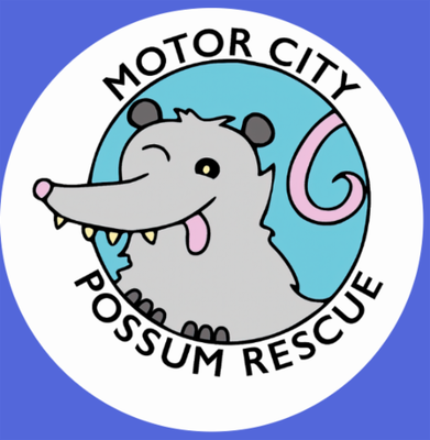 Motor City Possum Rescue