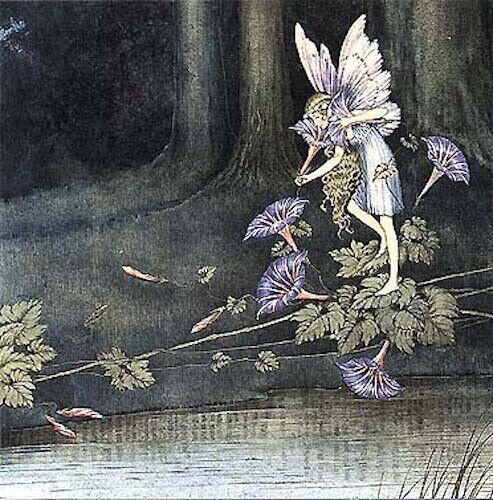 Ida R Outhwaite Art Card Fairy Morning Glories