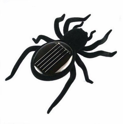 Animals & Insect Science Toys