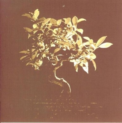 SLOWTIDE - ORIGINS  CD NEUF 