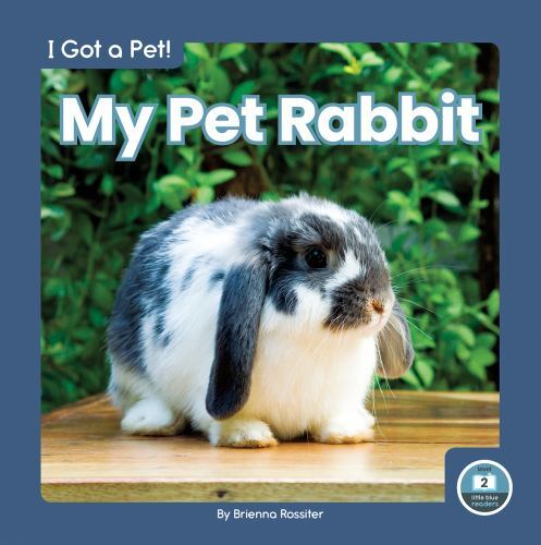 My Pet Rabbit by Brienna Rossiter (2022, Library Binding) for sale ...