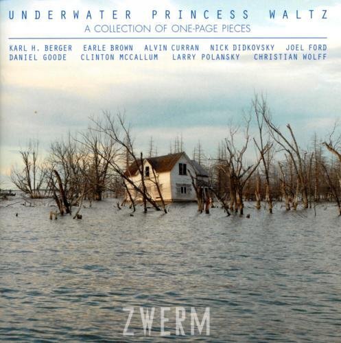 Nwr80748 Zwerm Danse De La Princesse Sous-Marine Cd Nwr80748 Neuf