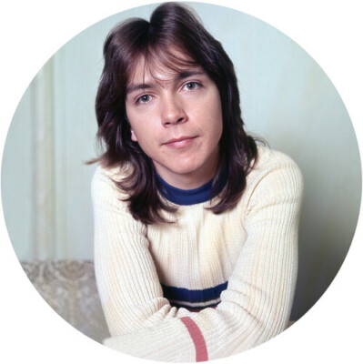 David Cassidy - I Think I Love You - Greatest Hits Live (Picture Disc Vinyl) [Ne