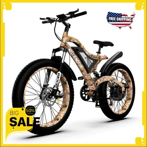 Removable Fat 48V 15Ah Tire eBike Electric bike 48V 15Ah