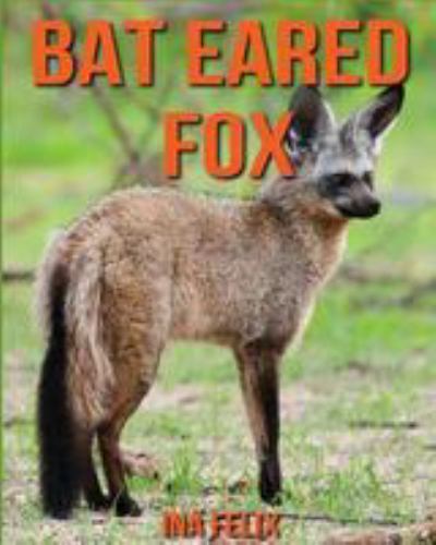Bat Eared Fox: Children Book of Fun Facts and Amazing Photos on Animals ...