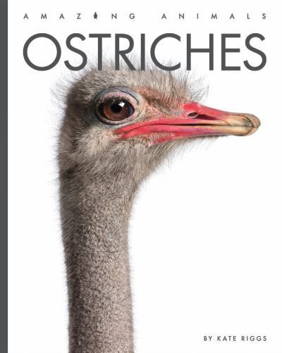 Ostriches by Kate Riggs (2023, Hardcover) for sale online | eBay