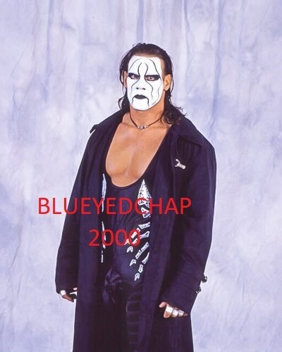 STING WRESTLER 8 X 10 WRESTLING PHOTO WWF WCW NWA | eBay
