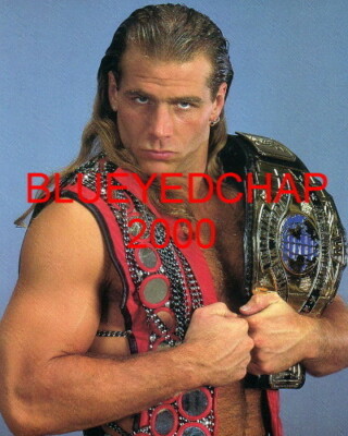 ハズブロ  WWF　THE WARLORD　SHAWN MICHAELS ハズブロ WWF THE WARLORD SHAWN MICHAELS SHAWN MICHAELS