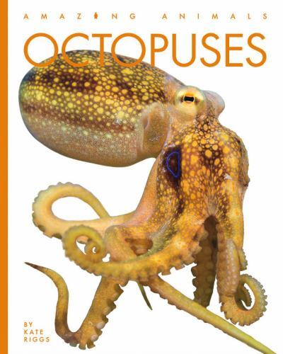 Octopuses by Kate Riggs (2023, Trade Paperback) for sale online | eBay