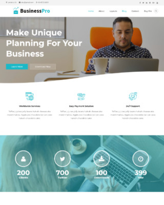   Business Pro Design 2 WordPress Website for Sale W/ Woocommerce & Customizer