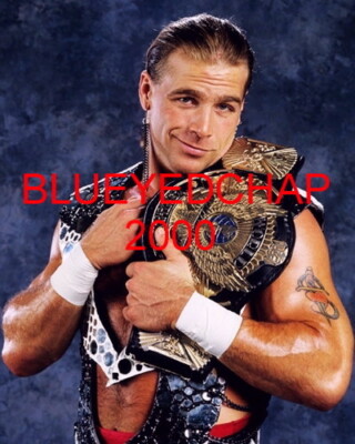 SHAWN MICHAELS WRESTLER 8 X 10 WRESTLING PHOTO WWF | eBay
