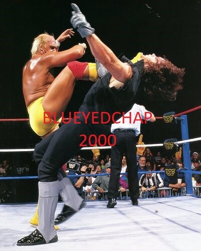 WWE ホーガン＆バイク RICKY FUJI - 1998 BBM Pro-Wrestling Trading Holo Card | eBay