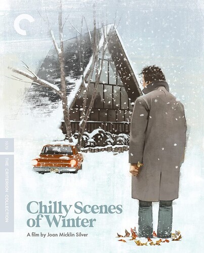 Chilly Scenes of Winter (Criterion Collection) (Blu-ray, 1979)