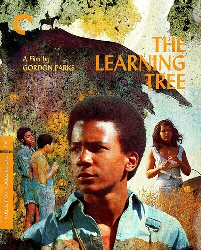 The Learning Tree (Criterion Collection) (Blu-ray, 1969)
